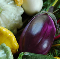 Eggplant