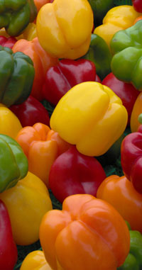 Peppers